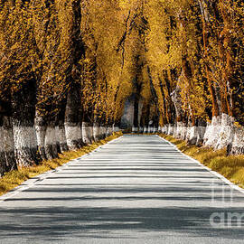Alentejo Autumn by DiFigiano Photography