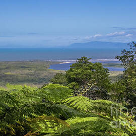 Alexandria Lookout