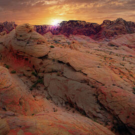 Alien Landscape Sunrise by Frank Wilson