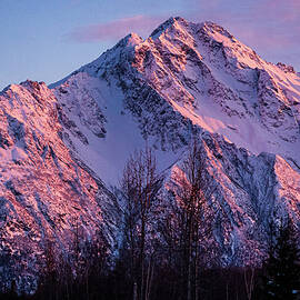Alpenglow on Pioneer Peak by Dianne Milliard