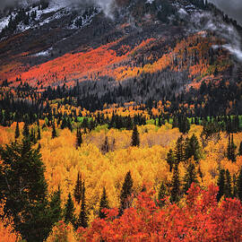 Alpine Loop Aspens and Mount Timpanogos, Utah - Vertical by Abbie Matthews