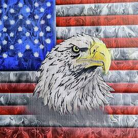 American Eagle Flag by Vesna Moore