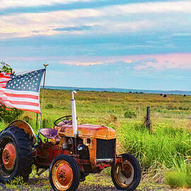American Farmer by Marla Steinke
