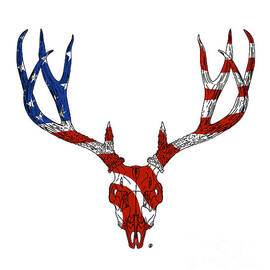 American Mule Deer by David Burgess