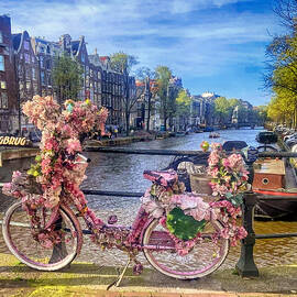 Amsterdam Beauty by Tricia Marchlik