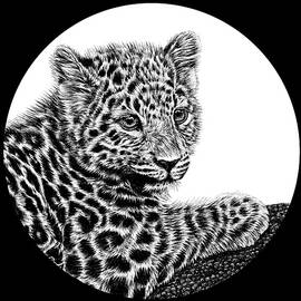 Amur leopard cub illustration by Loren Dowding