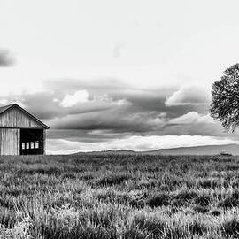 An Old Barn And Lone Tree - Black And White by Beautiful Oregon