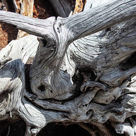 Ancient Abstract History of The North Cascades Mountains by Omashte by Omaste Witkowski