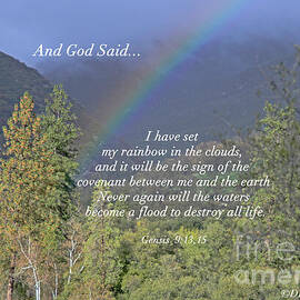 And God Said Rainbow by Debby Pueschel