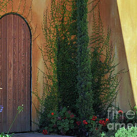 Angles and Arched Door by Debby Pueschel