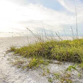 Anna Maria Beauty by Susan Rydberg