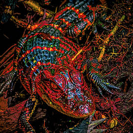  Venomous Alligator by Kaos Family Art