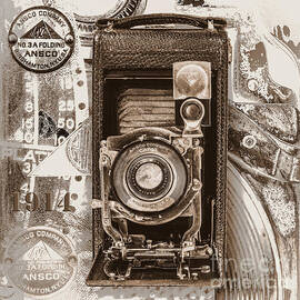 Ansco No. 3 Folding With Capex Shutter - Sepia by Anthony Ellis