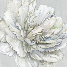 antique peony by Carol Robinson