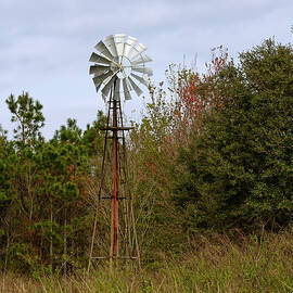 Antique Windmill by Sally Weigand