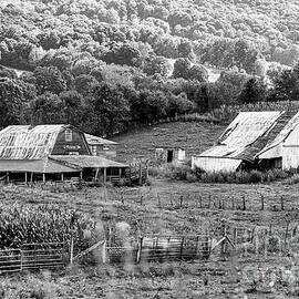 Appalachian Farm by Laurinda Bowling