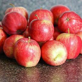 Apples by Lorna Maza