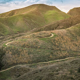 Arroyo Verde by Alison Frank