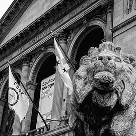 Art Institute Guardian - Chicago #2 by Stephen Stookey
