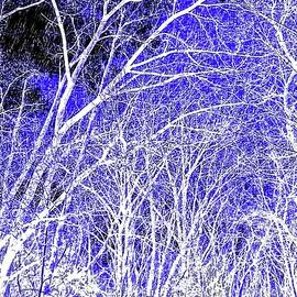 Art Trail of Blue Violet by Jeremy Lyman