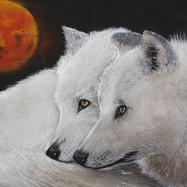 ARTIC WOLF PAIR1079 pastels by Dreamz -