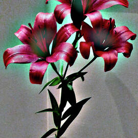 Asian Lilies in a Vase Abstract by Kathy Birkett