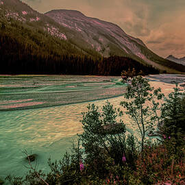 Athabasca River Sunset Wildflowers by Norma Brandsberg