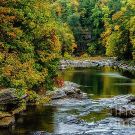 Autumn along Middle Fork River by Thomas R Fletcher