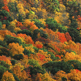 Autumn At Its Best by Sherry Epley