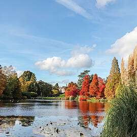 Autumn at Sheffield Park by Shirley Mitchell