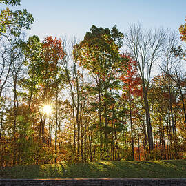 Autumn Colors at Sunrise - Natchez Trace by Debra Martz