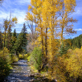 Autumn Day in New Mexico Blue Skies Golden Trees by Mary Lee Dereske