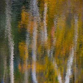 Autumn Dream by Bonny Puckett
