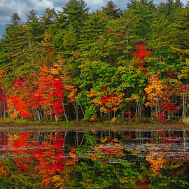 Autumn Elegance by Scott Loring Davis