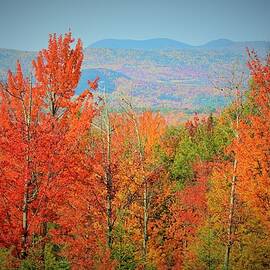 Autumn Glory by Melissa Mistretta
