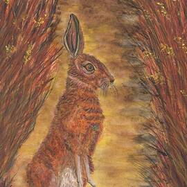 Autumn Hare reworked by Deborah Pain
