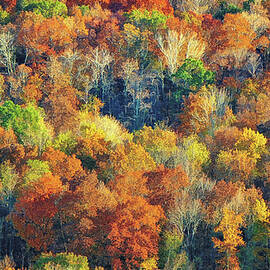 Autumn In The Hills by Rick Davis