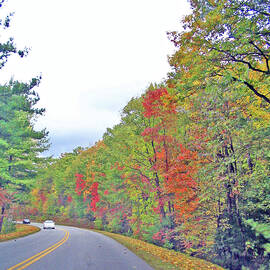Autumn in the North Carolina Mountains by Marian Bell