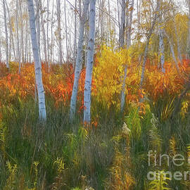 Autumn Landscape with Birches  by Helen Filatova