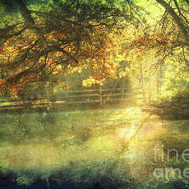 Autumn Light by Ellen Cotton