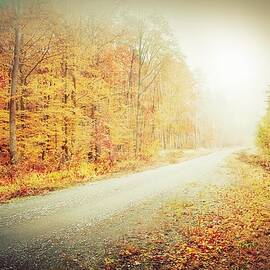 Autumn Misty Afternoon by Slawek Aniol
