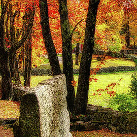 Autumn Nostalgia by Scott Loring Davis