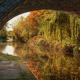 Autumn on the Grand Union Canal by Dave Bowman