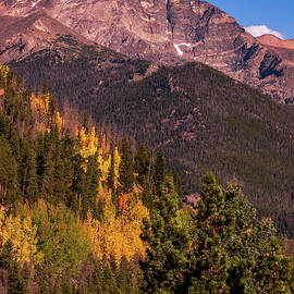 Autumn on Trail Ridge by Dianne Milliard