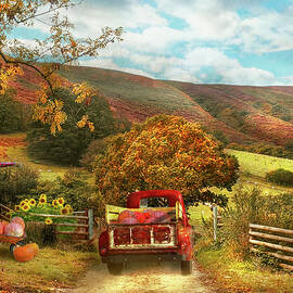 Autumn - Picking pumpkins in the country by Mike Savad