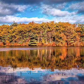 Autumn reflection in Moor State park by Lilia D