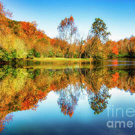 Autumn Reflections by Shelia Hunt