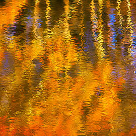 Autumn Ripples by Mark Bell
