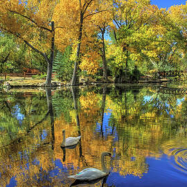 Autumn Serenity by Donna Kennedy