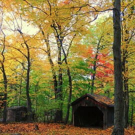 Autumn Sheds by Denise Harty